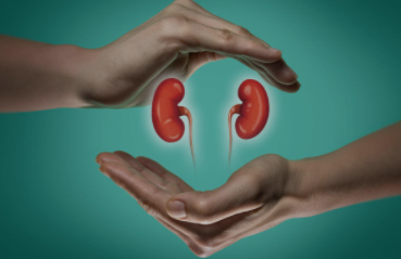 Healthy Kidney Diet Guide With Experts