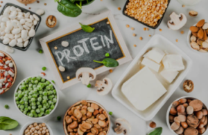 protein snacks